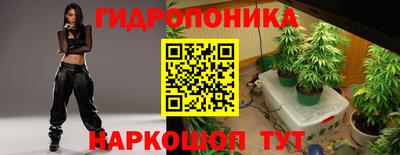 гидропоника Партизанск