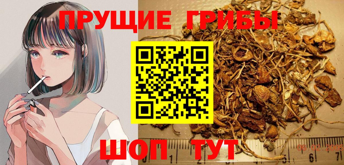 Псилоцибиновые грибы Magic Shrooms  Вход с VPN  Мичуринск  хочу наркоту  Галлюциногенные грибы Magic Shrooms 
