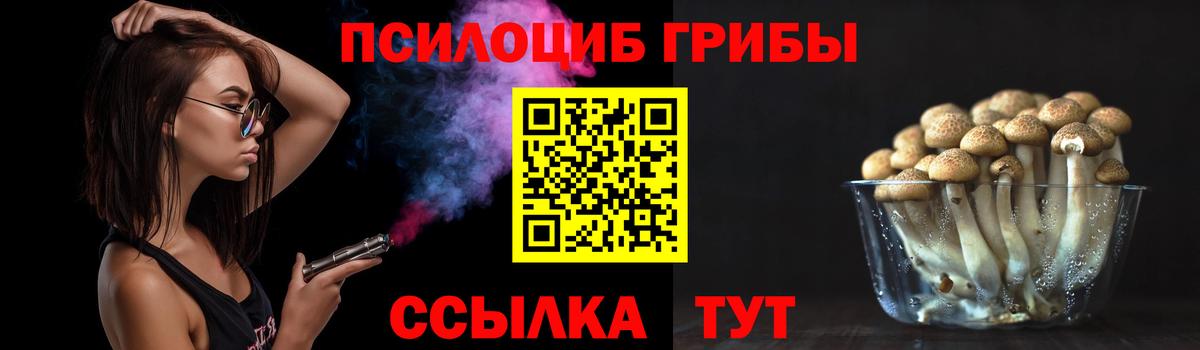 Галлюциногенные грибы мицелий Мичуринск