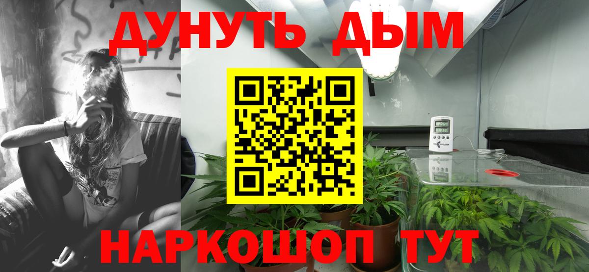 Каннабис планчик  Бошки Шишки план  Мичуринск  Каннабис MAZAR  Вход с VPN 